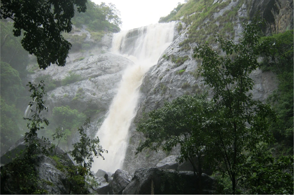 Nearby Attraction Image