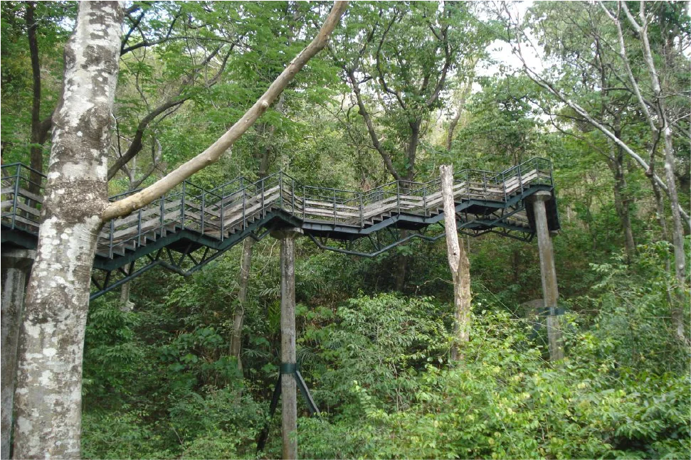 Nearby Attraction Image