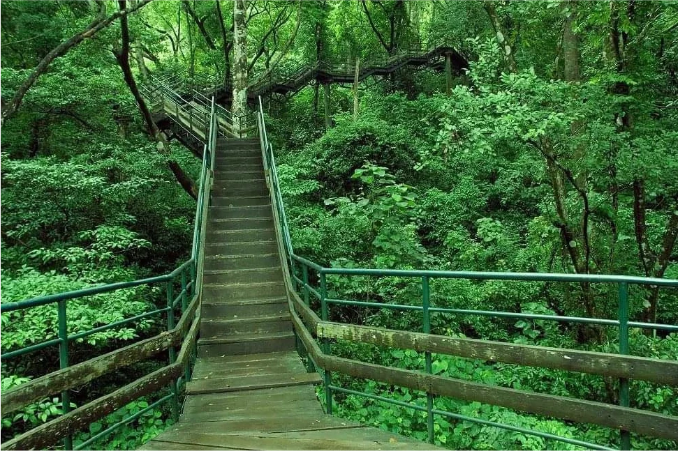 Nearby Attraction Image