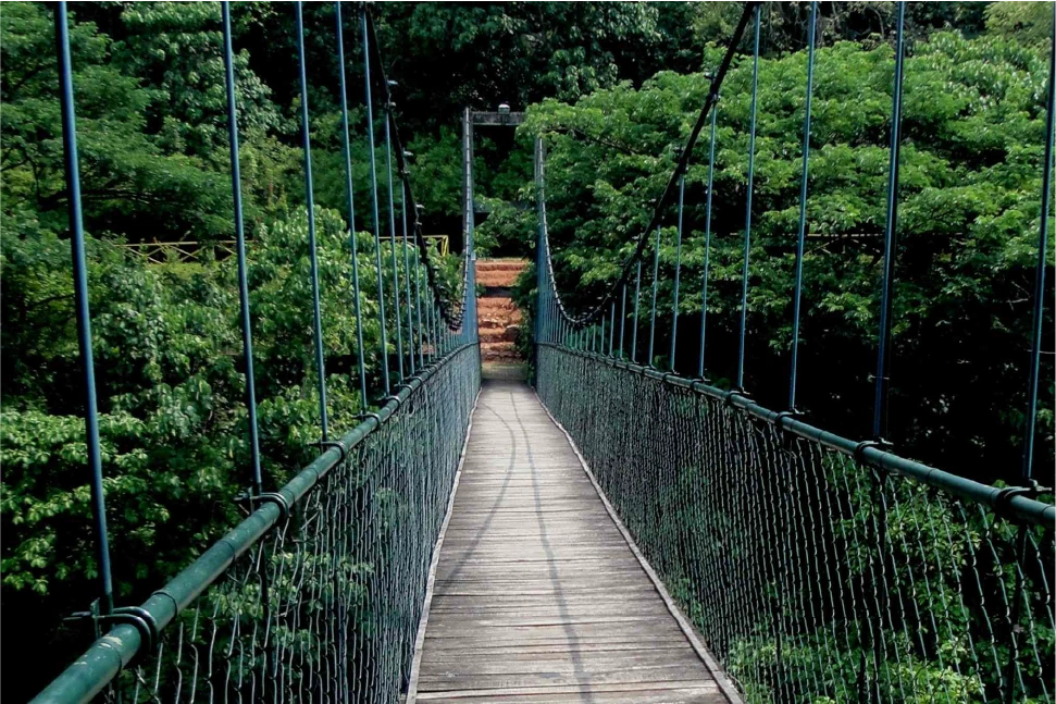 Nearby Attraction Image