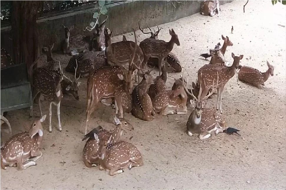 Nearby Attraction Image